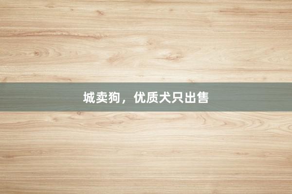城卖狗，优质犬只出售